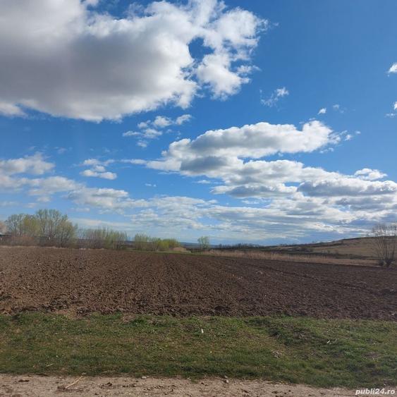Teren de 2600 mp, în Reuseni