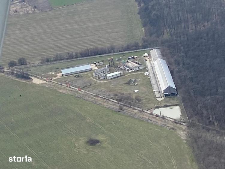 Teren de 20000 mp, în Brănești