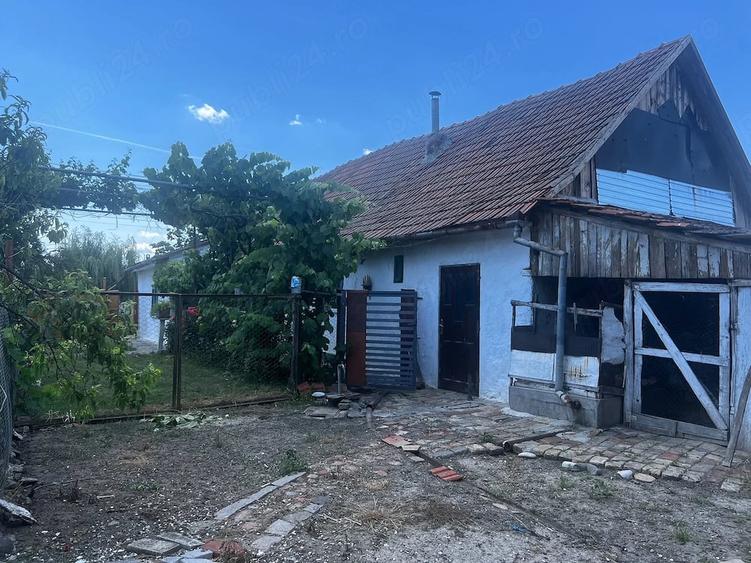 Casă cu Teren 2900 Mp în Jamu Mare