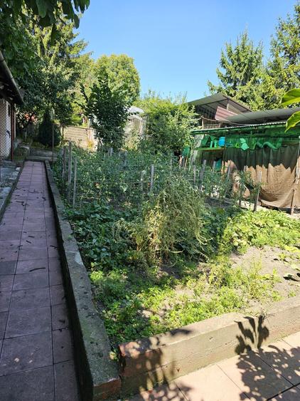 Casă cu 3 camere în Central