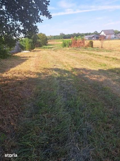 Teren de 600 mp, în Mărtinești
