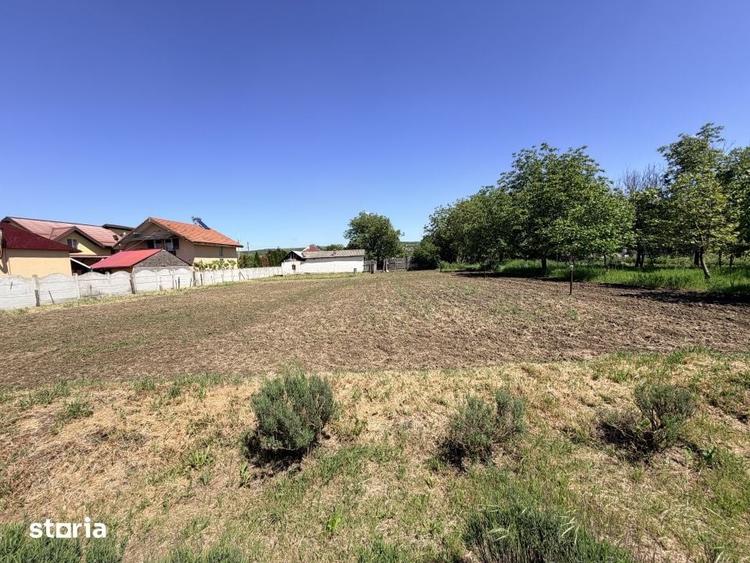 Casă cu 6 camere cu Teren 3000 Mp în Cârcea