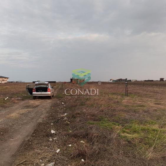 Teren Construcții intravilan de 600 mp, în Berceni
