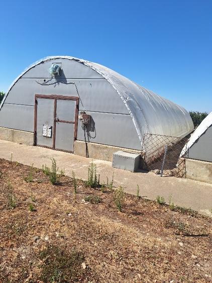 Teren agricol intravilan de 10000 mp, în Mihail Kogălniceanu