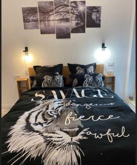 Apartament cu 2 camere semidecomandat în Parcul Carol