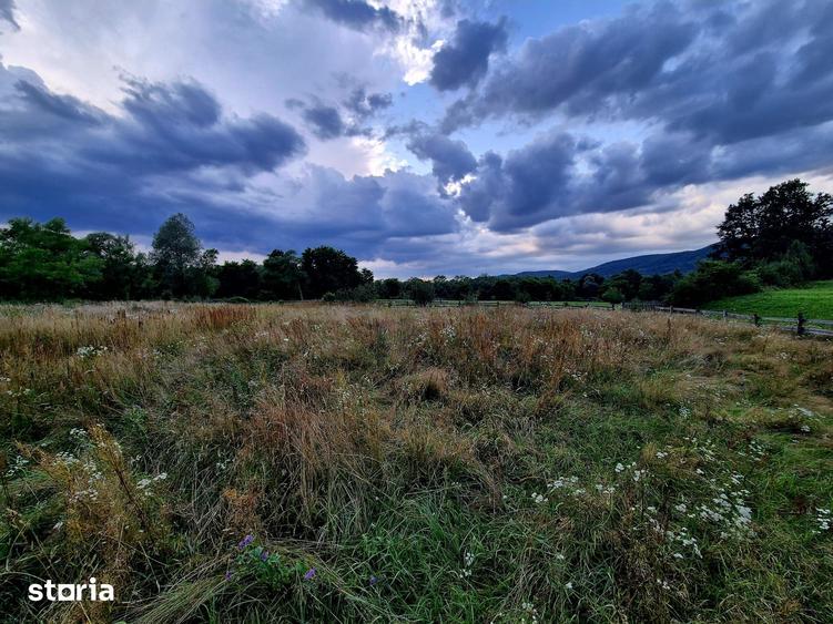 Teren recreational cu iesire la apa/Sinca Noua Brasov - 1