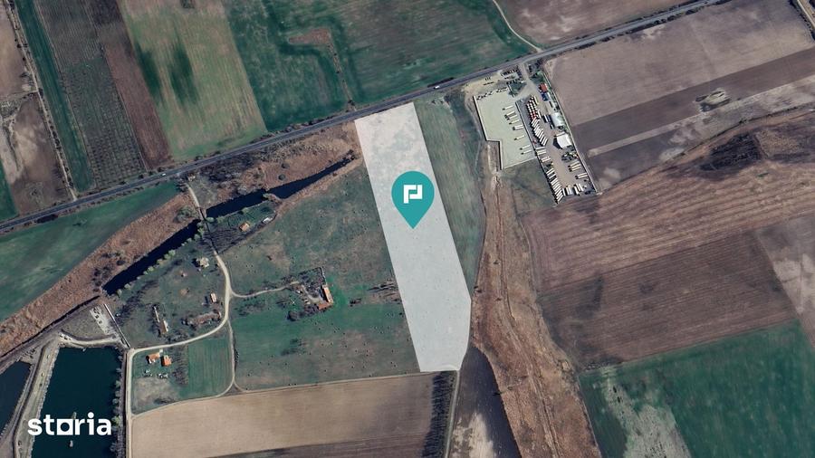 Teren de 50000 mp, în Sânnicolau Mic