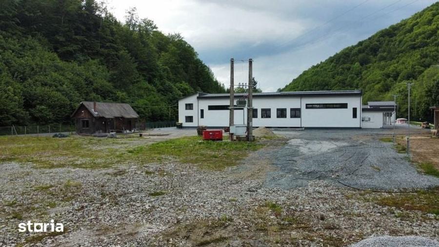 Teren intravilan 4000mp ideal investitii in apropiere de Colibita - 2