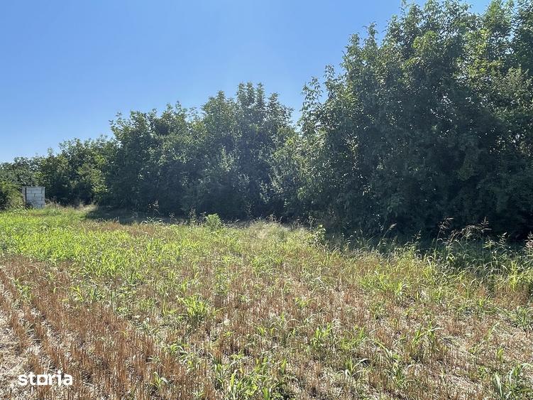 Teren de 1200 mp, în Balotești