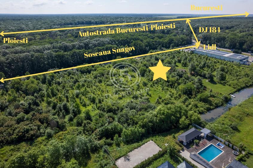 Teren Construcții intravilan de 5514 mp, în Snagov