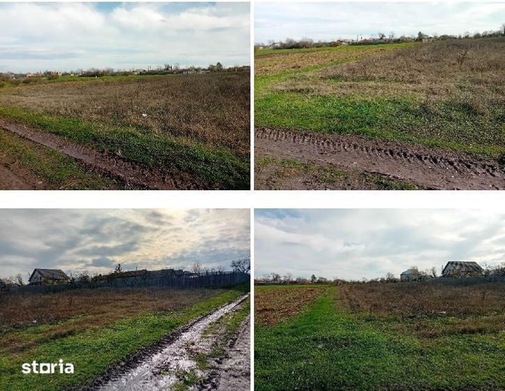 Teren de 1578 mp, în Mălureni