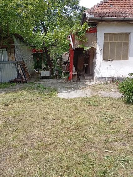 Casă cu Teren 5741 Mp în Lunca Mureșului