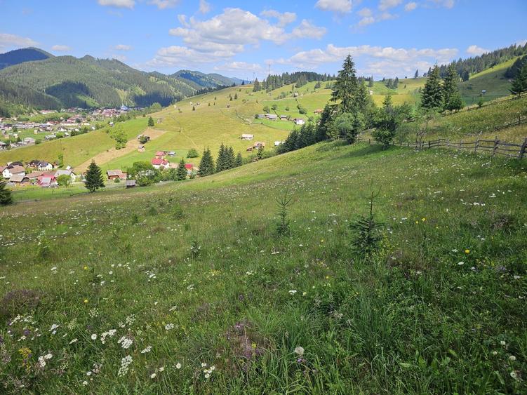 Teren extravilan de vanzare cu priveliste superba in Bucovina zona Breaza - 3
