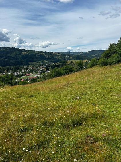 Teren de 5833 mp, în Bistra