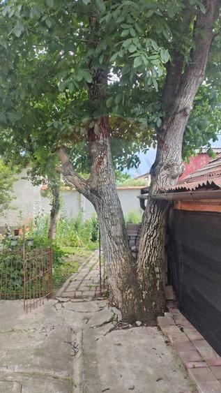 Casă individuală cu 3 camere cu Teren 305 Mp în Central