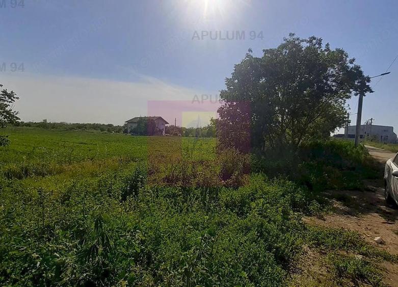 Teren de 5000 mp, în Copăceni