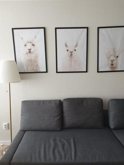 2 camere | Stefan cel Mare | Lizeanu | designer - 15