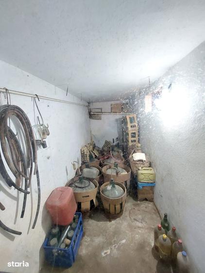 Casă cu 4 camere cu Teren 2690 Mp în Șotânga