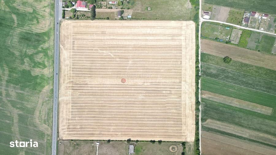Teren de 60000 mp, în Hălchiu