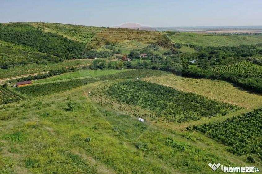 Teren în Central