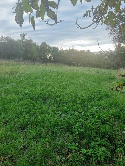 Teren de 1500 mp, în Aiton