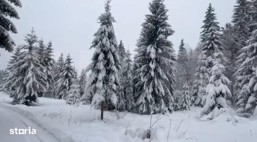 Teren 10,75 ari, intravilan Colibita, cu utilitati - 5