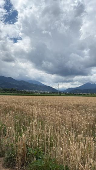 BRASOV,Teren agricol 19.600 mp, 1,96 ha/ Săcele,Front stradal 56 ml,Investiție - 7