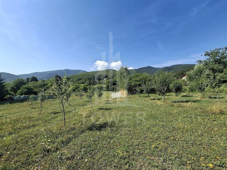 Teren de 650 mp, în Sadu