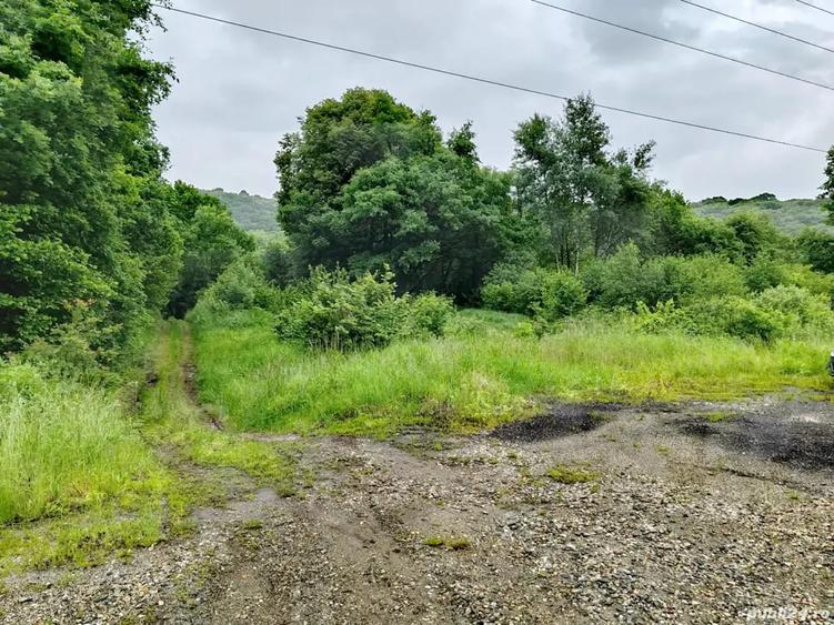 Teren de 4000 mp, în Veștem