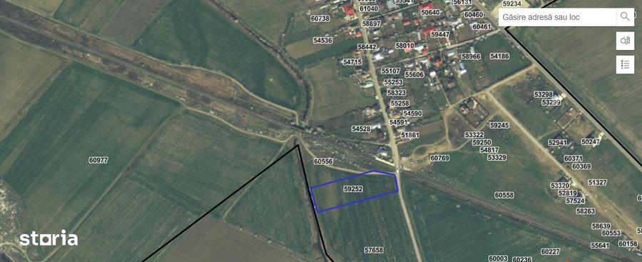Teren de 11120 mp, în Cernica