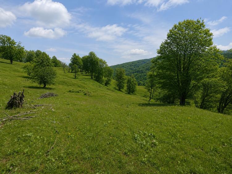 Teren extravilan de 2746 mp, în Vădurele (Alexandru cel Bun)