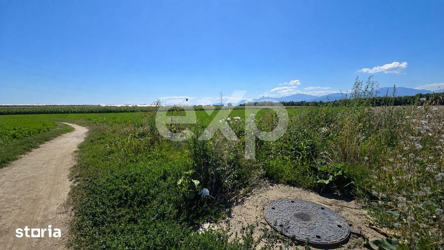 Teren de 17204 mp, în Stupini
