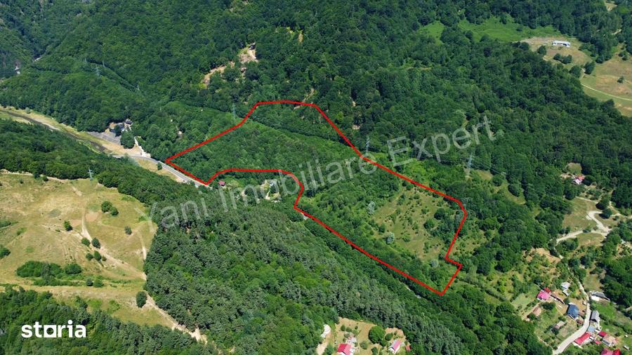 Teren de vanzare pe Transfagara?an ( 75.200 mp ) - 4