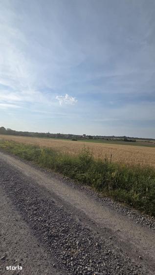 Teren de 3632 mp, în Viile Satu Mare