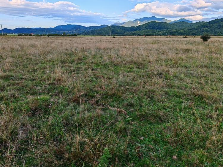 Teren Construcții intravilan de 9800 mp, în Glăjărie