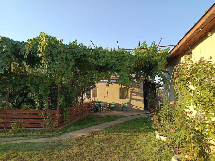 Casă cu 3 camere cu Teren 2200 Mp în Broșteni (Vișina)