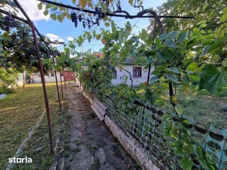 Casă cu 3 camere cu Teren 1200 Mp în Central