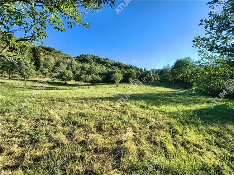 Teren extravilan de 1200 mp, în Sibiel