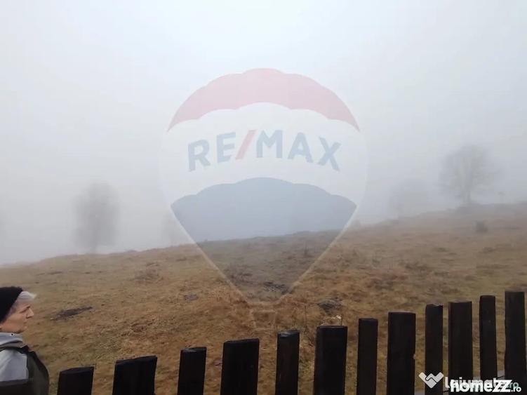 Teren de 26238 mp, în Dorna-Arini