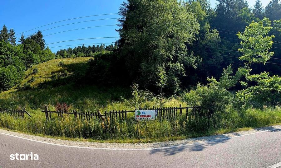 Teren de 10290 mp, în Șinca