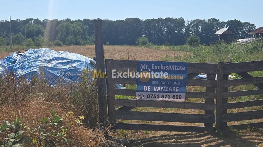 Teren agricol intravilan de 10294 mp, în Sud