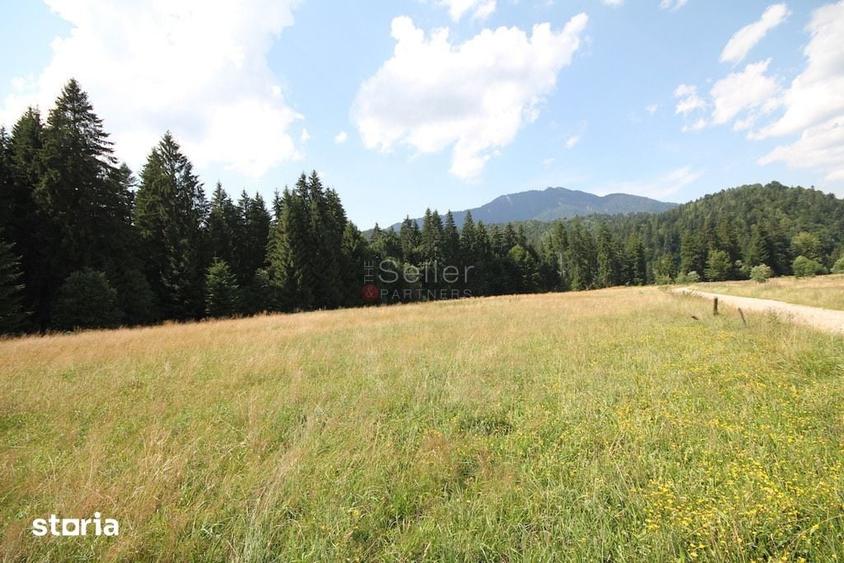 Teren de 8823 mp, în Predeal