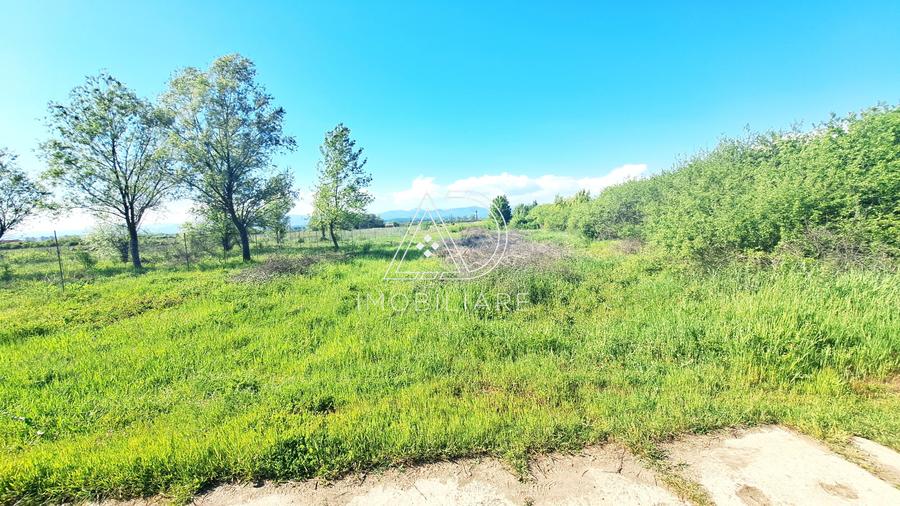 Teren extravilan de 2500 mp, în Exterior Sud
