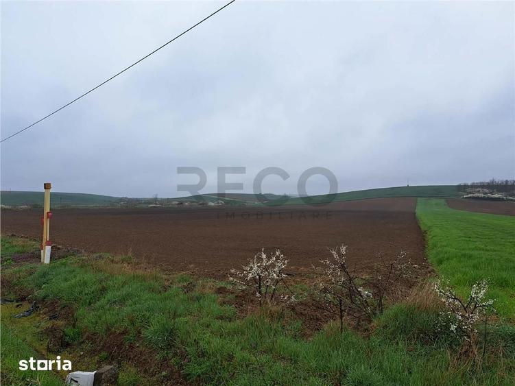 Teren de 7800 mp, în Central
