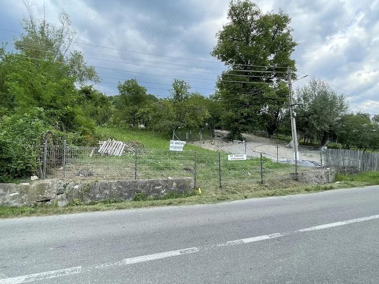 Teren de 4160 mp, în Provița de Sus