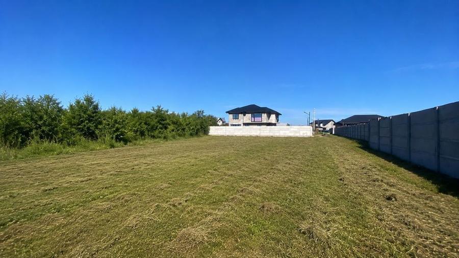 Teren intravilan 530 Mp | Albota - 1