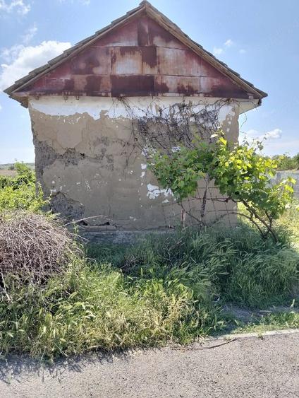 Casă cu Teren 370 Mp în Central