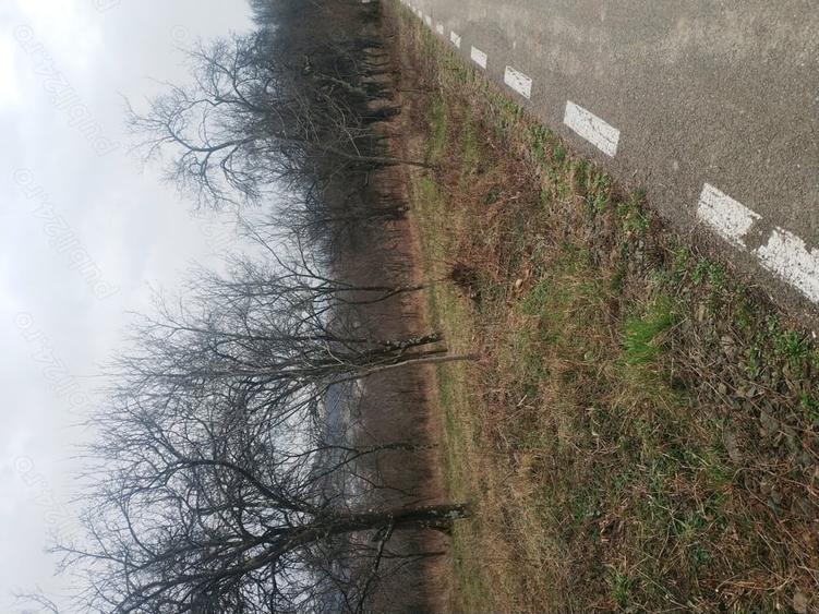 Teren de 2400 mp, în Crișeni