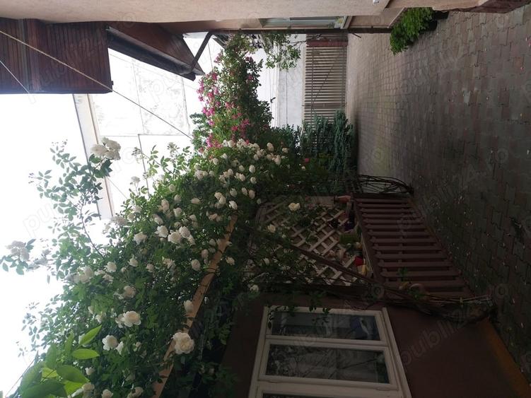 Casă cu Teren 350 Mp în Precista