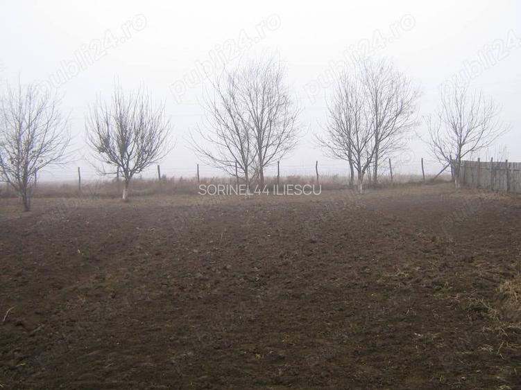 De vanzare casa ?i gradina